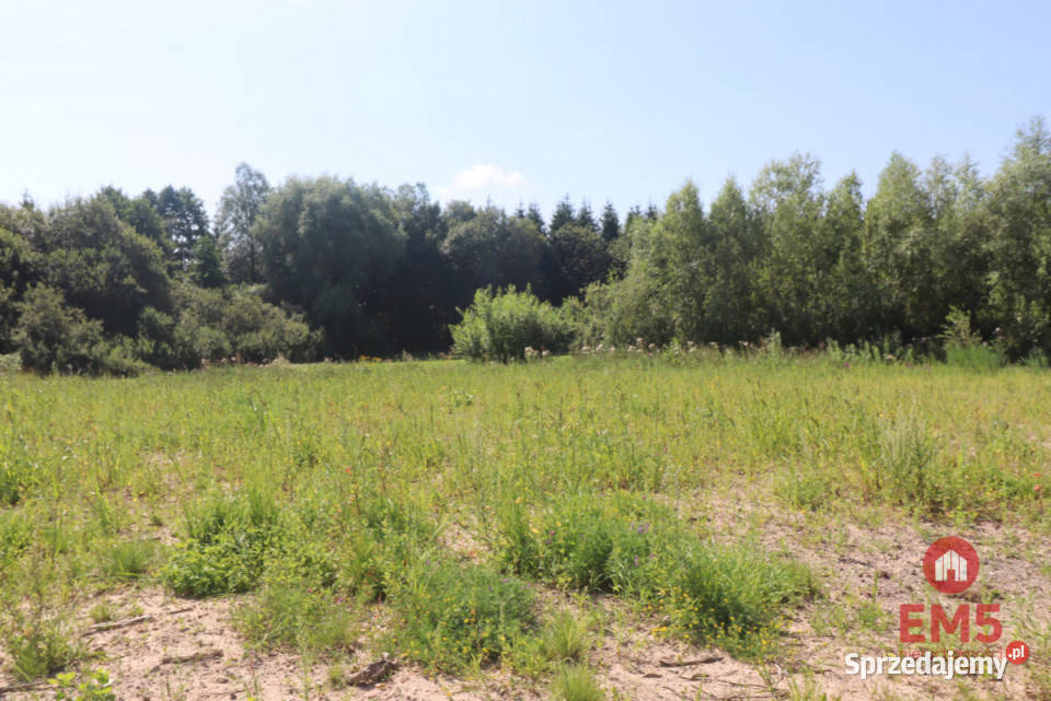 Działka 3963m2 Bakałarzewo sprzedam