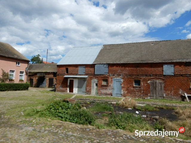 Syndyk sprzeda udział 422 działka 24 Trzeszyn