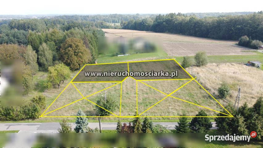 Grunt Zebrzydowice 4984m2 śląskie