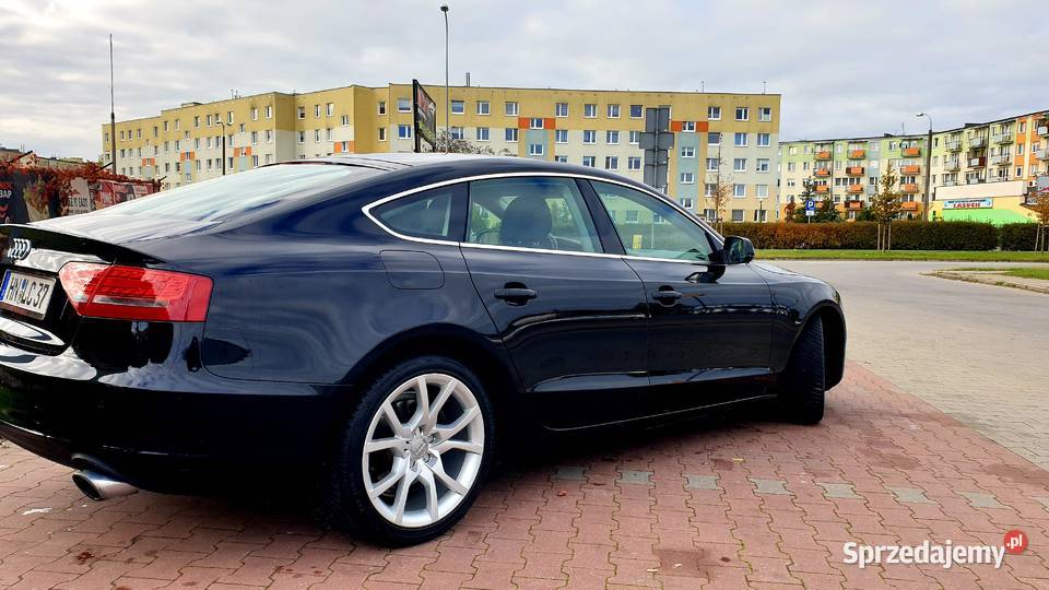 Na Sprzedaż Grudziądz