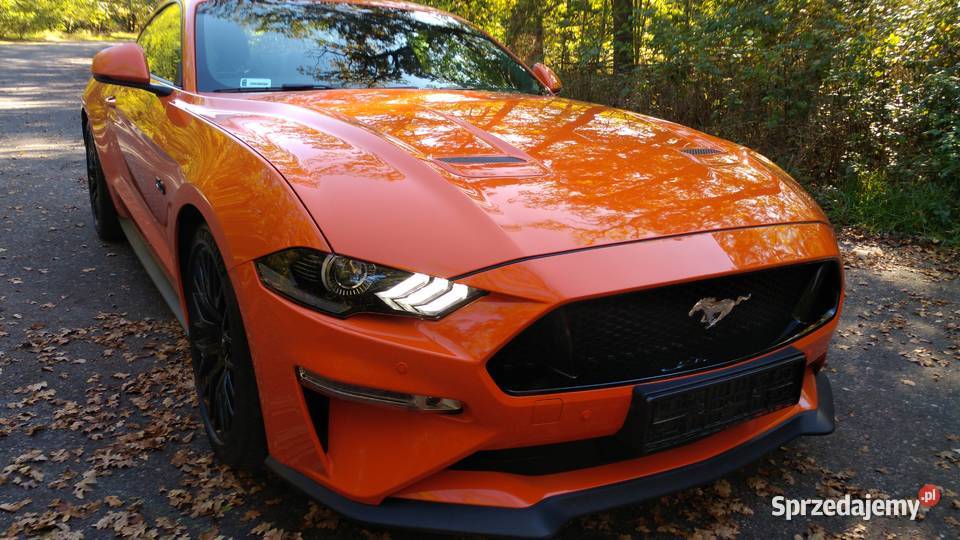 FORD MUSTANG GT V8 450 SALON POLSKA nawigacja Zielona Góra sprzedam