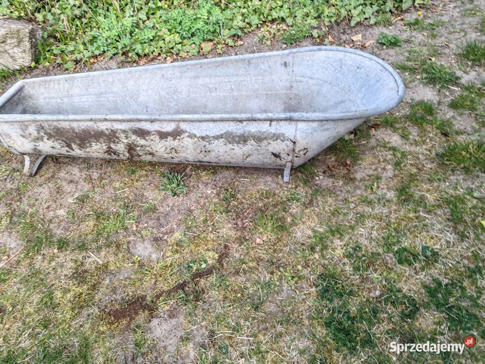 WANNA PRL OCYNK Konin