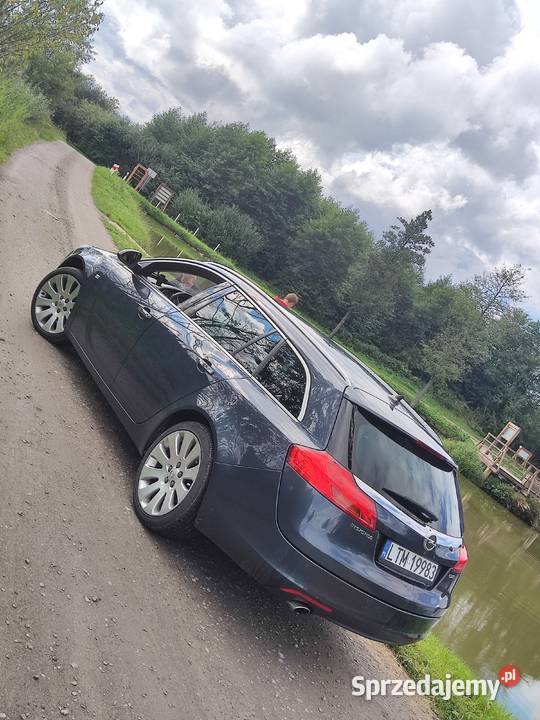 Opel Insignia lubelskie Tomaszów Lubelski sprzedam