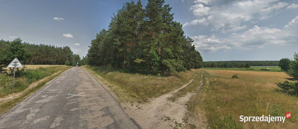 Sprzedam działkę 7 ha wsi RywocinyGmina Sprzedaż Rywociny sprzedam