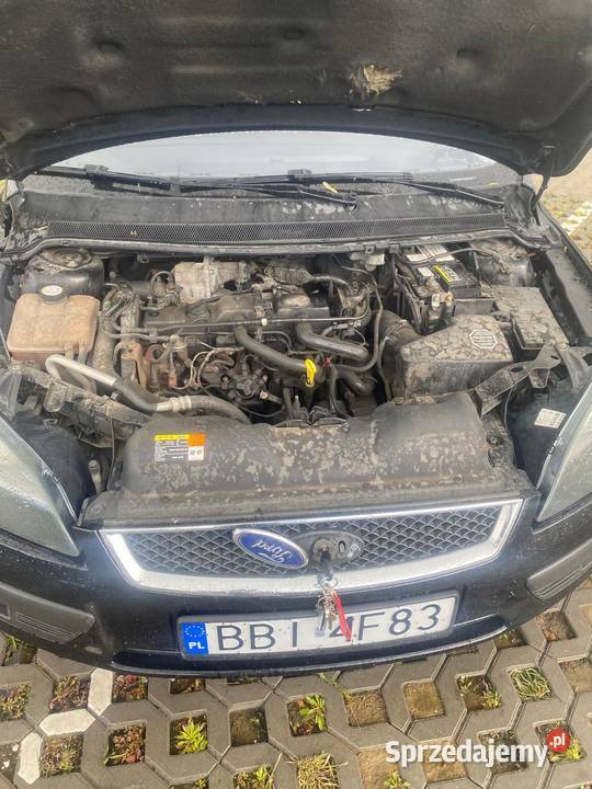 Ford focus Płock