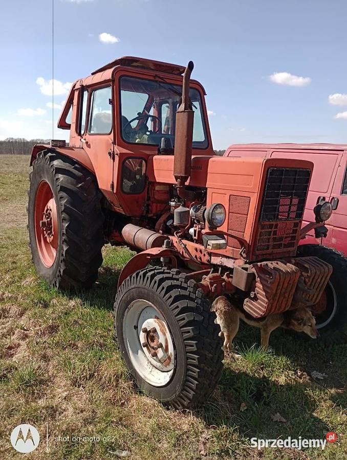 Sprzedam MTZ 82 4x4 2 sztuki zachodniopomorskie Białogard