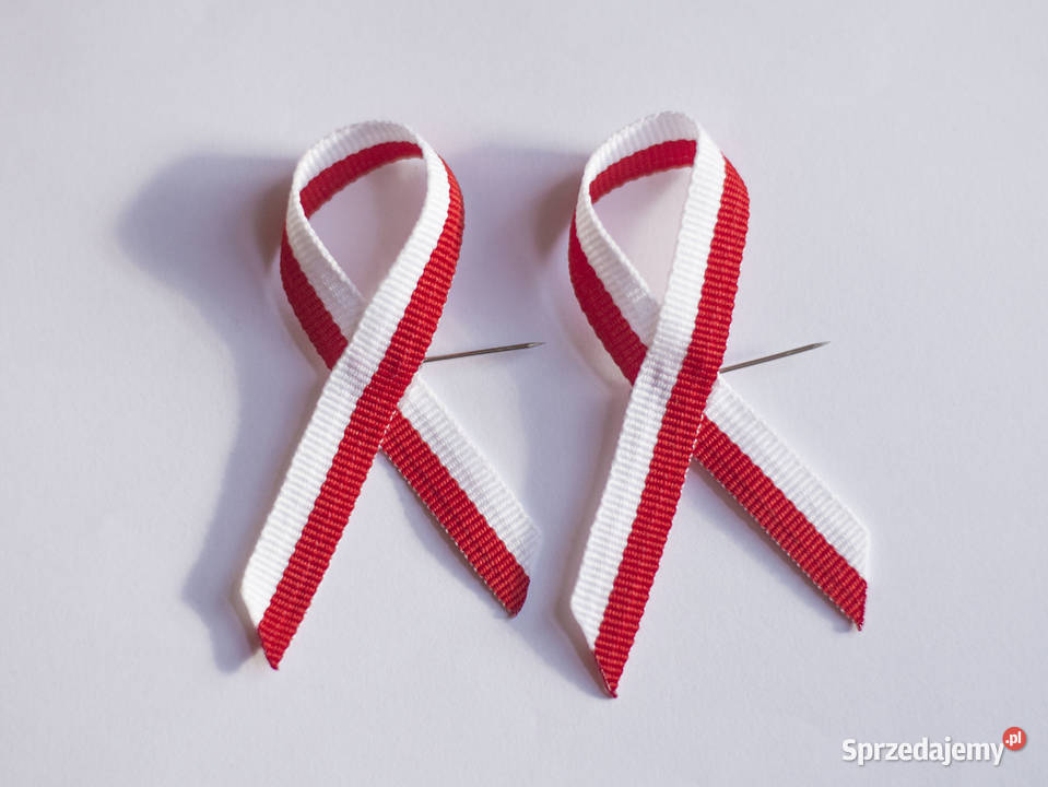 kotyliony narodowe na święto niepodległości 100 małopolskie Brzesko