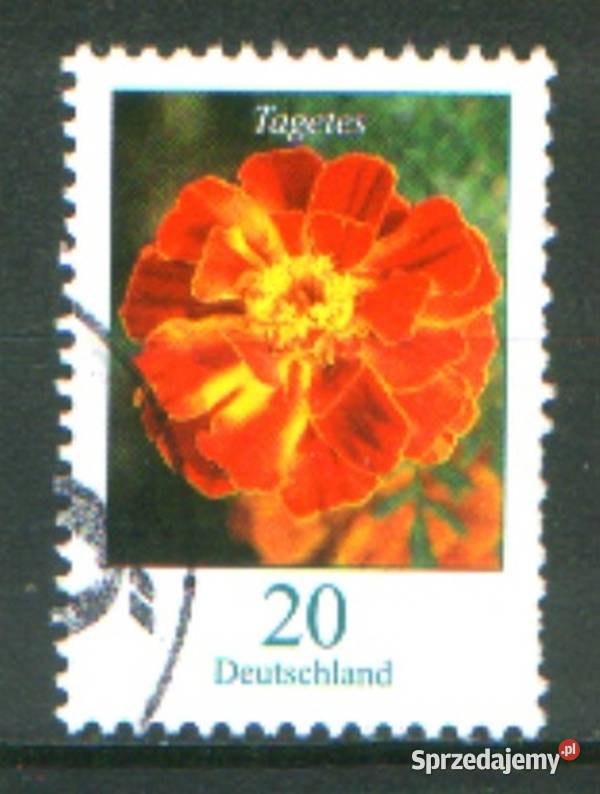 Zn RFN wykaz w opisie kas 2006