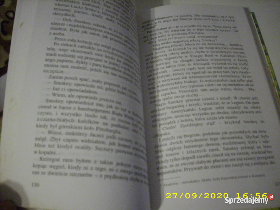 Smażone zielone pomidory Flagg k Zamość sprzedam