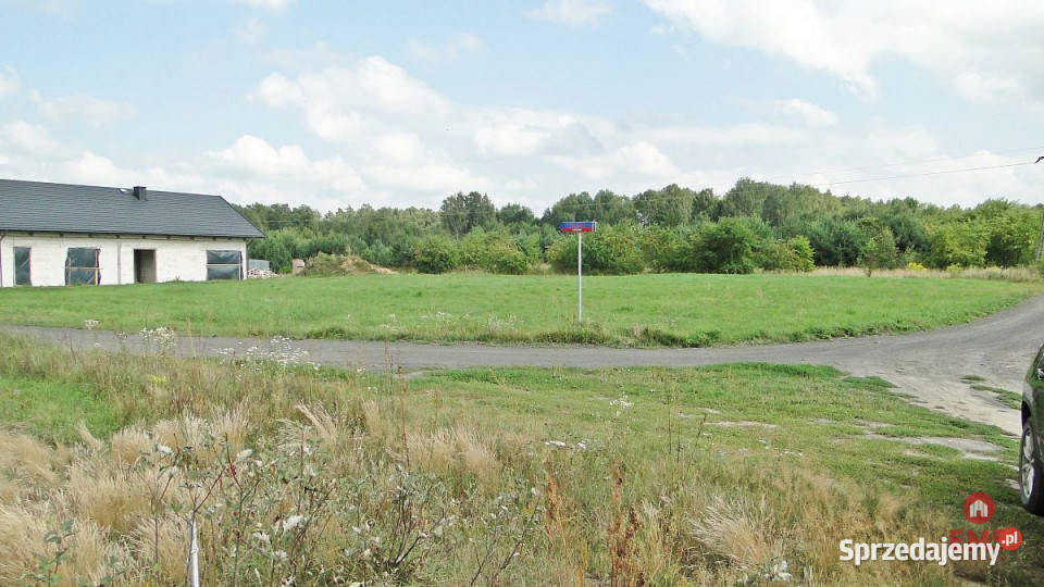 Grunt 10400m2 Zalesiany 10400m2