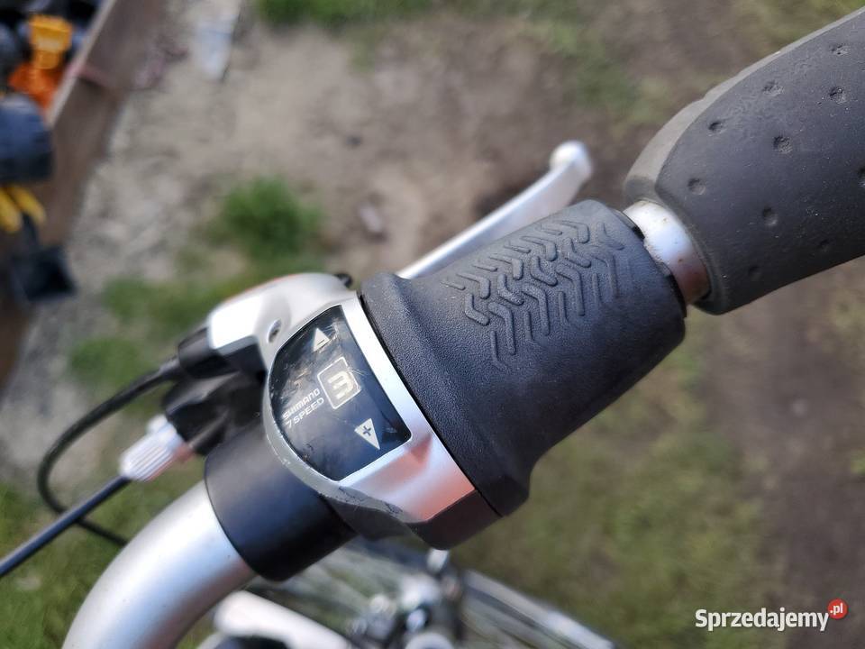 Pegasus Nexus 7Aluminium Rower Miejski Dębica