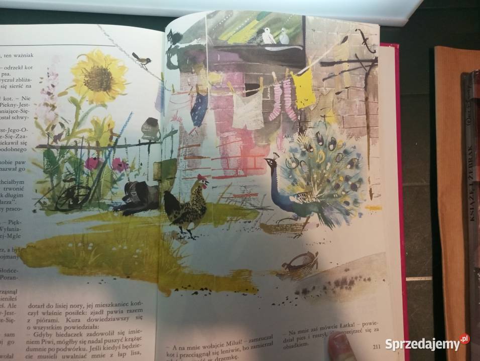 udowny bajkowy świat ilustracje Janusz Rzeszów