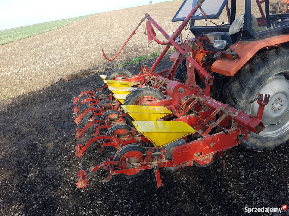 Siewnik do buraków BEKER ładny 6 rzędów Dragany
