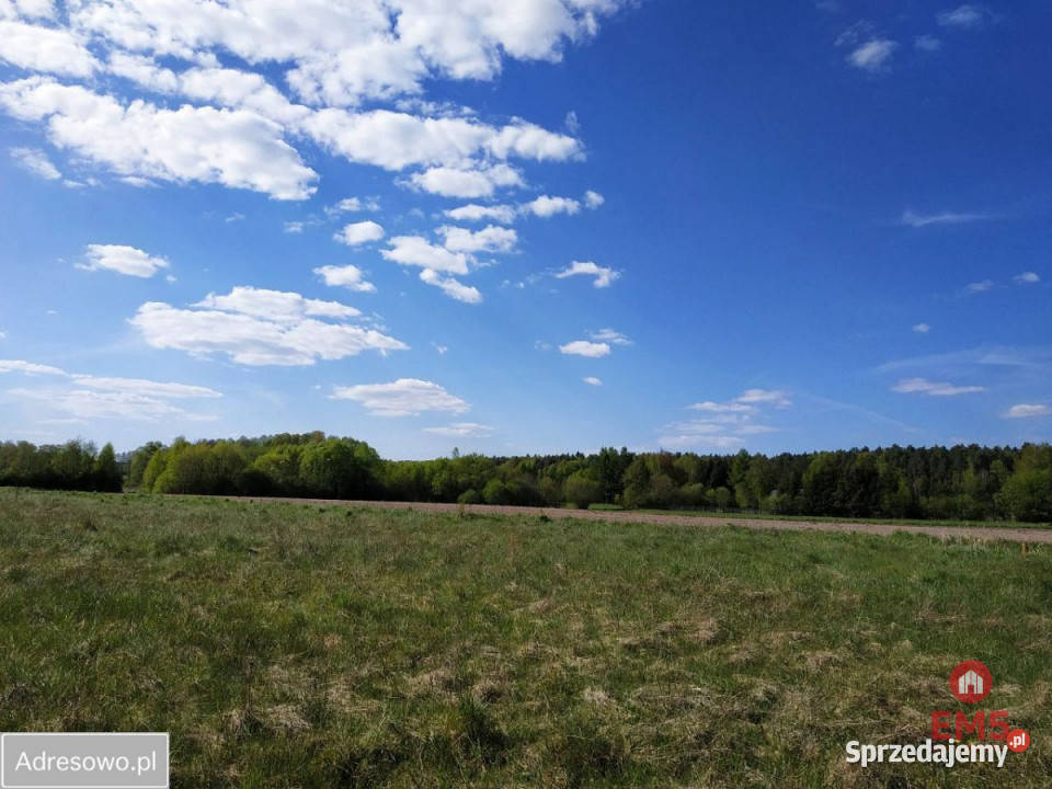 Grunt Olmonty 3300m2 100m Sprzedaż podlaskie