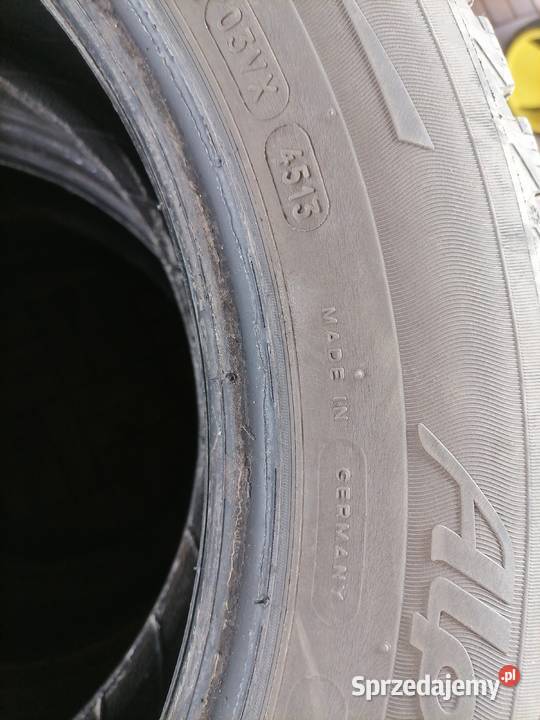 Opony Michelin Alpina zima Guzowatka
