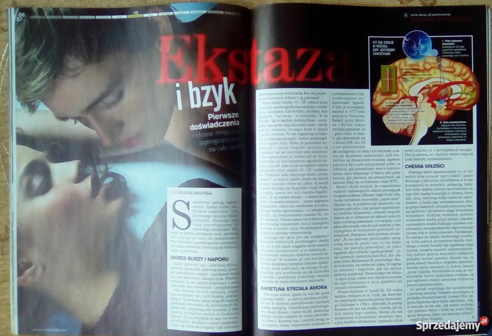 FOCUS DONOSICIELE POSZUKIWANI Piszczac