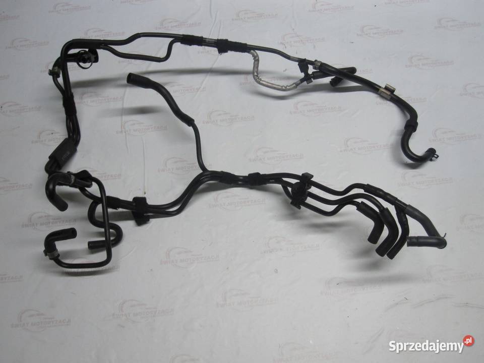 FORD FOCUS 10 ECOBOOST 12R 100 M2DA 5G95468GC