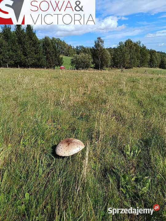 Działka z widokiem na Wielką Sowę na krańcu