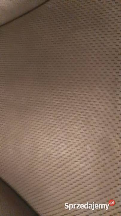 Oparcie fotela przód Mercedes S W220 kujawsko-pomorskie Brzoza