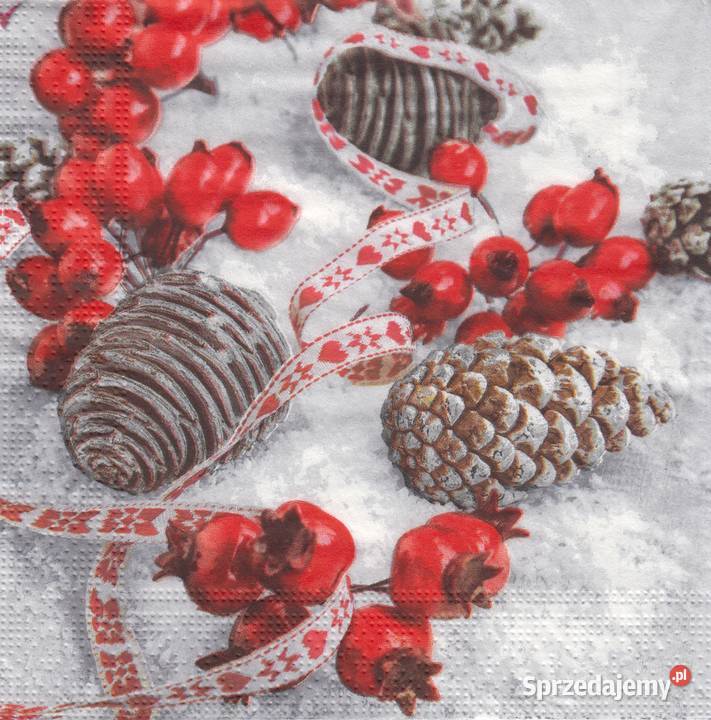 Dekupaż Boże Narodzenie zima ptaszki sikorki Rękodzieło Skarżysko-Kamienna