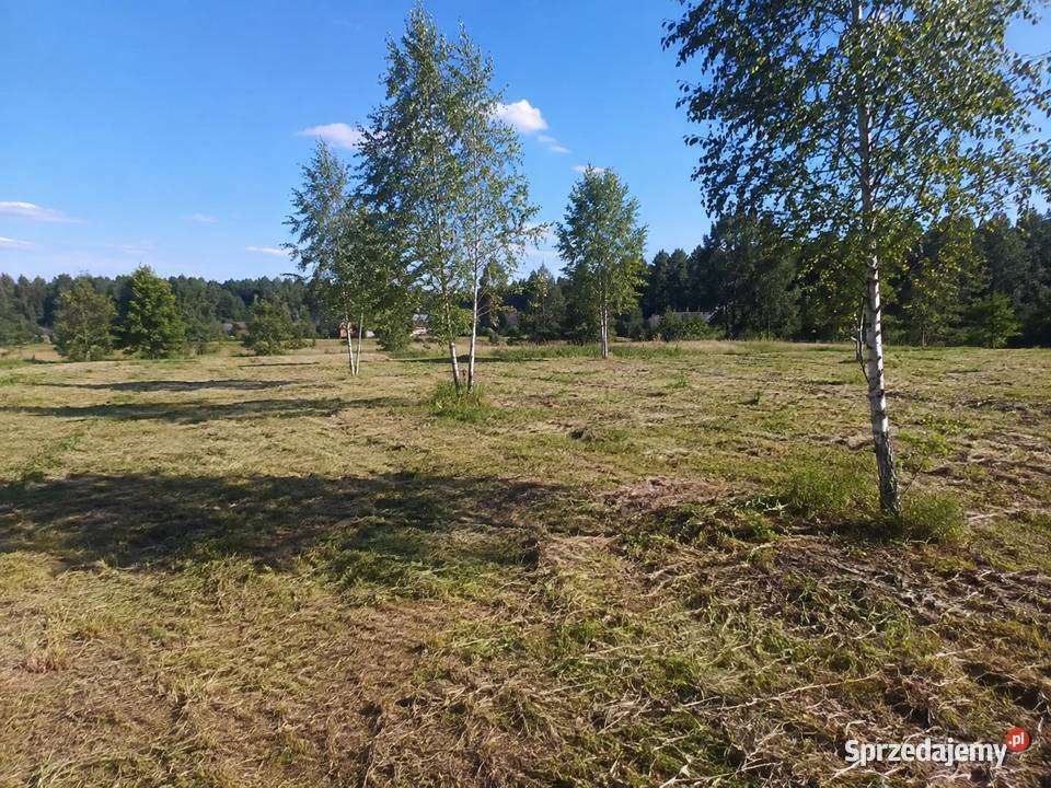 Sprzedam Działki Budowlane Grunty i działki Rudnik Wielki