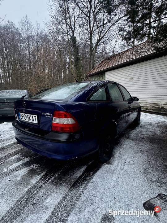 Opel Vectra b 16benzyna 1996r opolskie Namysłów