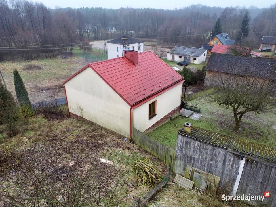 Sprzedam dom z budynkami 60 arów w Zdziechowice Drugie