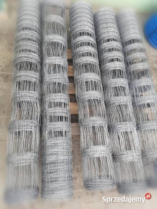 siatka leśna 1501530 Pozostałe Grabiny