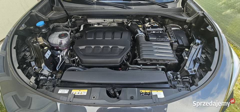 CUPRA TERRAMAR ADVANTAGE EDITION 2026r 20 TSI nieuszkodzony Zielona Góra