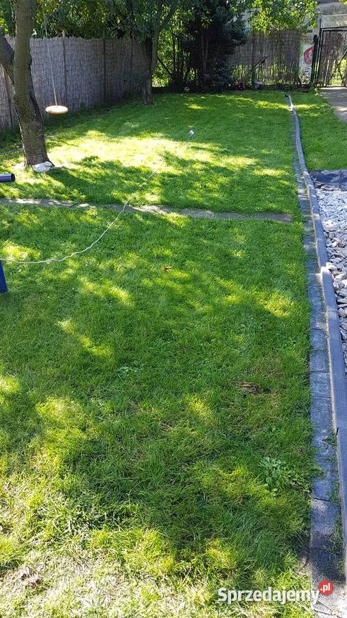 ogródek 390 m2 rod Narutowicza bytom