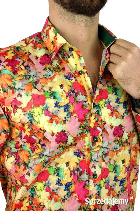 DANIEL BESSI Koszula Męska Fb061 Kolorowa LIŚCIE Odzież codzienna Ostrów Wielkopolski sprzedam