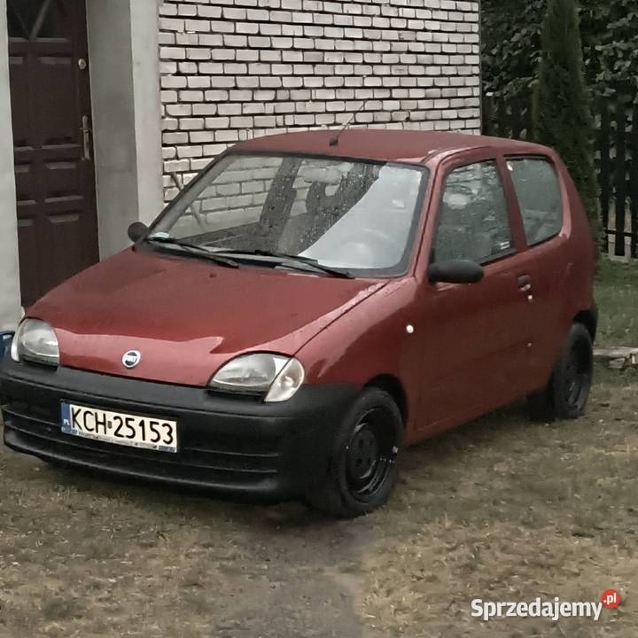 Szeroka stal Seicento 4x98