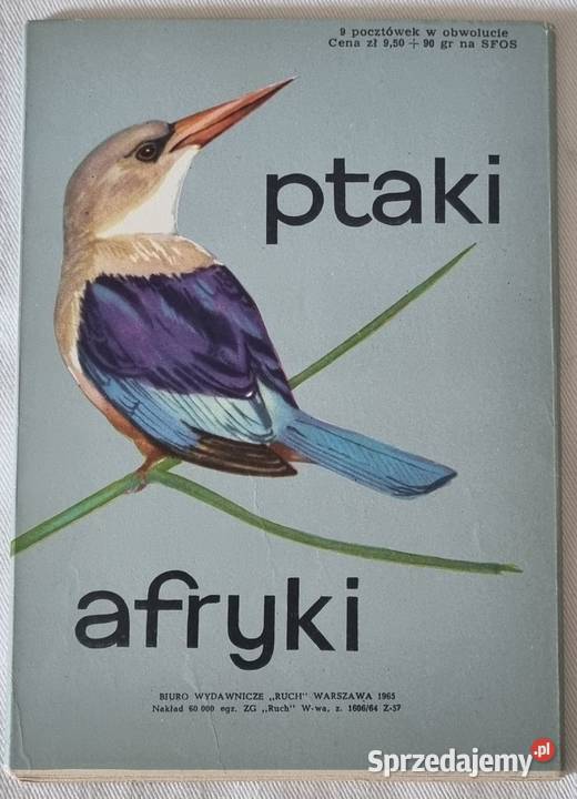 Ptaki Afryki 9 projekt graficzny Alojzy Balcerza Warszawa sprzedam