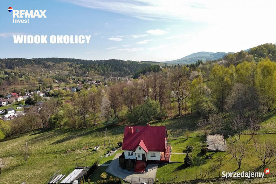 Działka budowlana 30 arów terenów leśnych Las