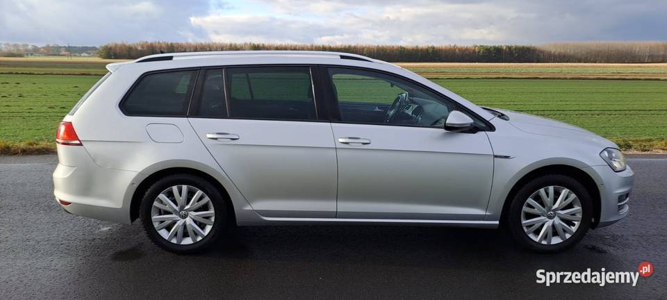 Volkswagen Golf 7 16tdi Golf Krzywanice sprzedam