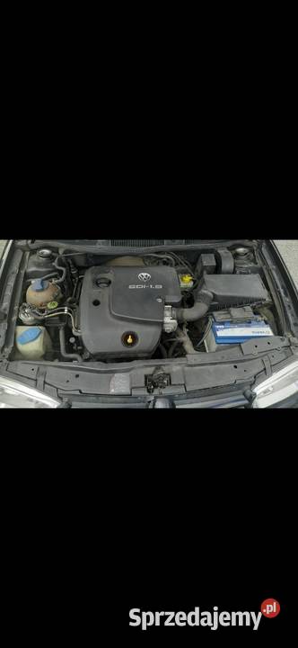 Vw Golf 4 Sdi Hatchback Ozorków
