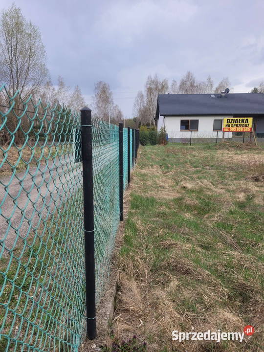 Działka koło Zalesia Górnego budowlana Sprzedaż Łbiska