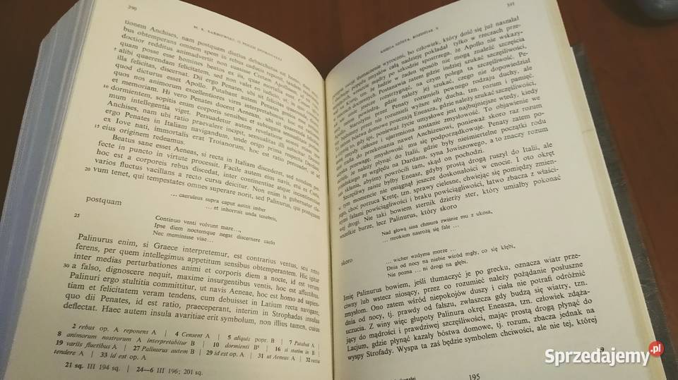 O poezji doskonałej czyli Wergiliusz i Homer