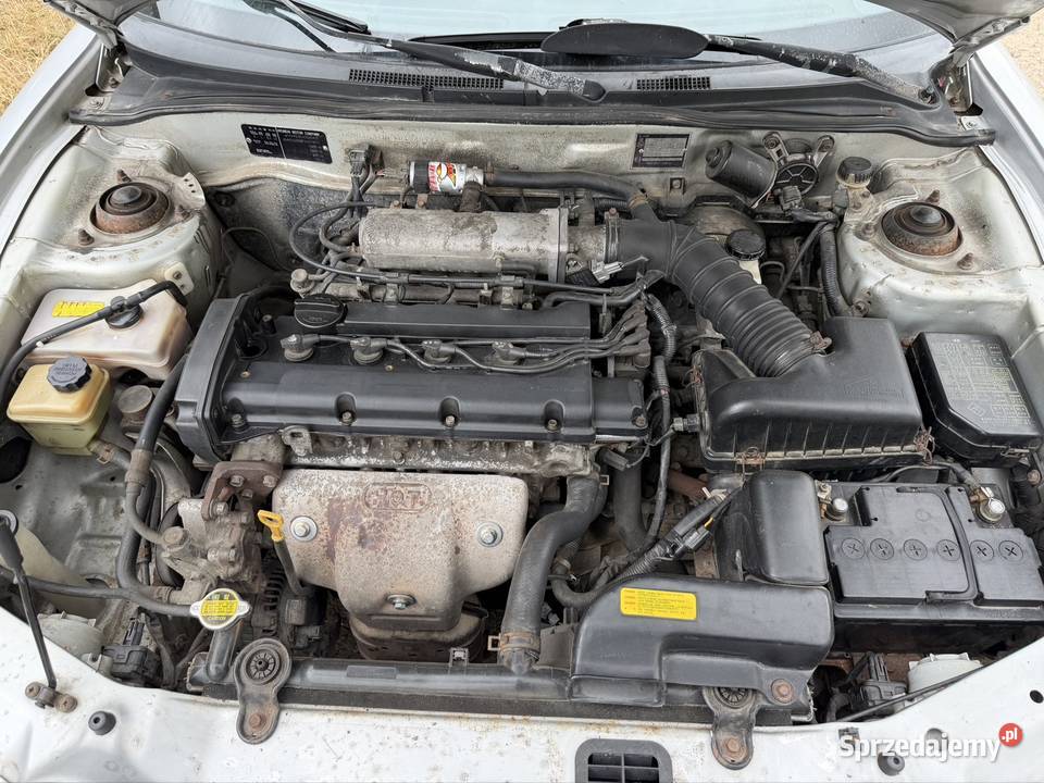 Hyundai Coup Zarejestrowany w Polsce Sieradz