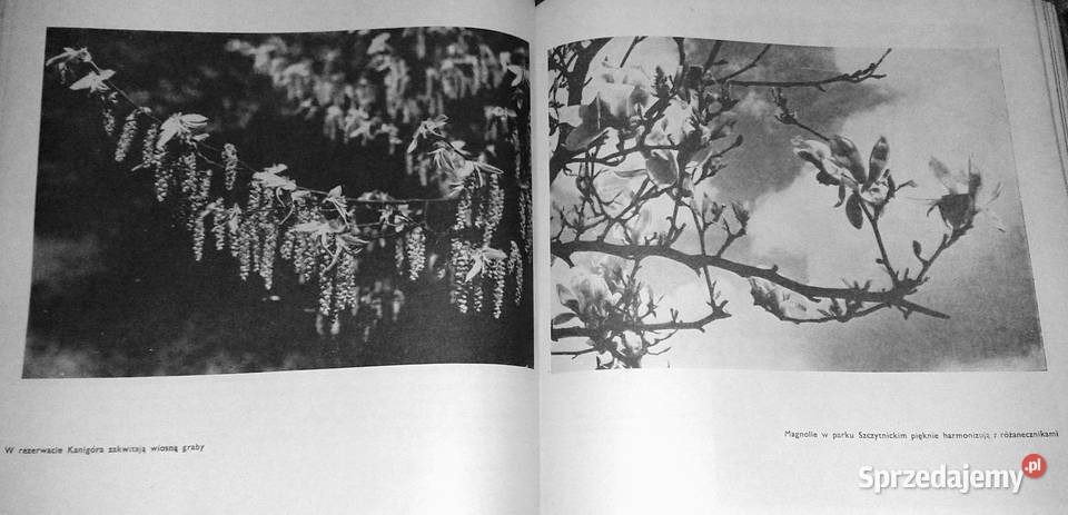 Skarby przyrody Dolnego Śląska Eugeniusz Chełm