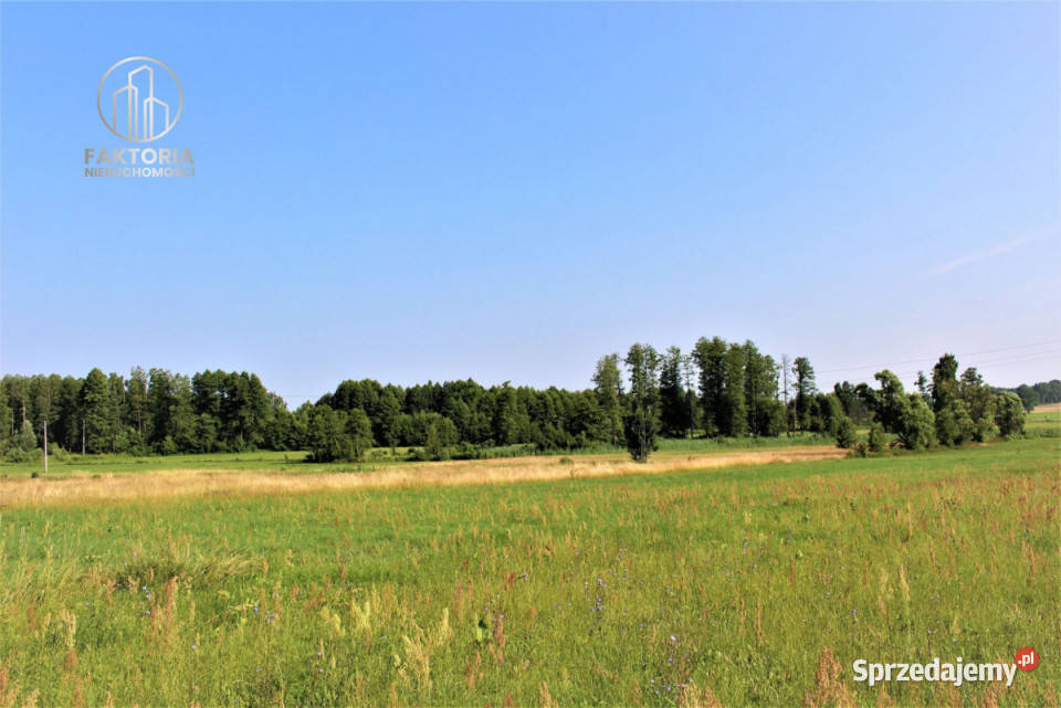 sprzedaży działki Boguszewo 4300m gaz podlaskie sprzedam