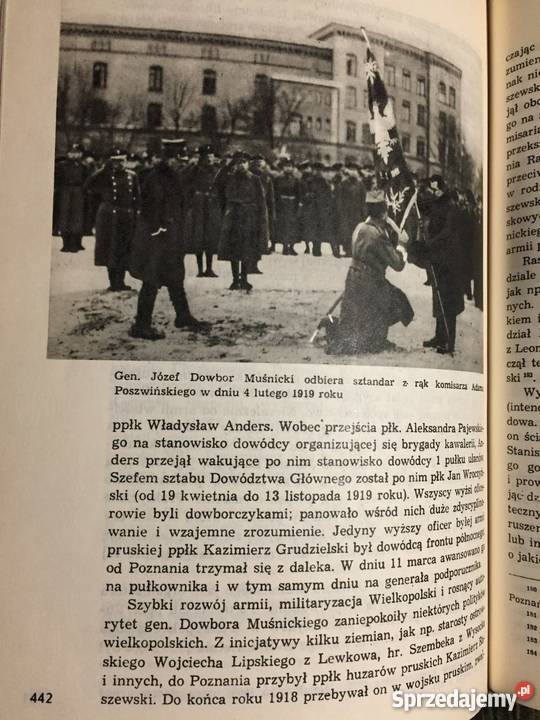 Powstanie Wielkopolskie 19181919 zarys dziejów Bojanowo
