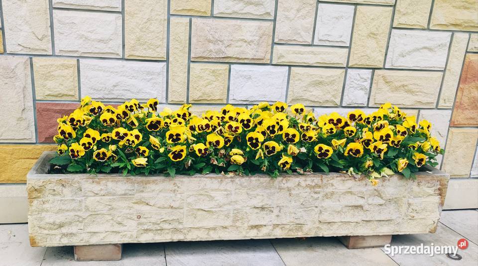 Komplet ogrodowy z piaskowca Ogród Miedzna Drewniana