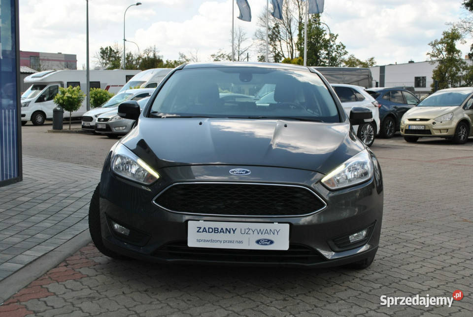 Ford Focus Hatchback GoldX 16 Benzyna 105 ASO lakier metallic Białystok