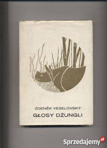 Głosy dżungli Szczecin