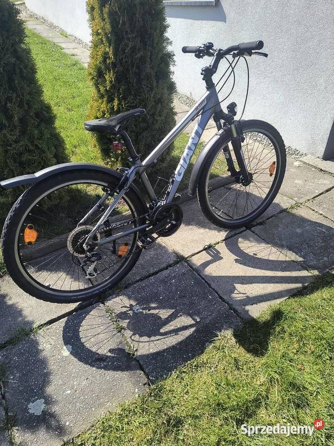 Rower Giant Wilkowice