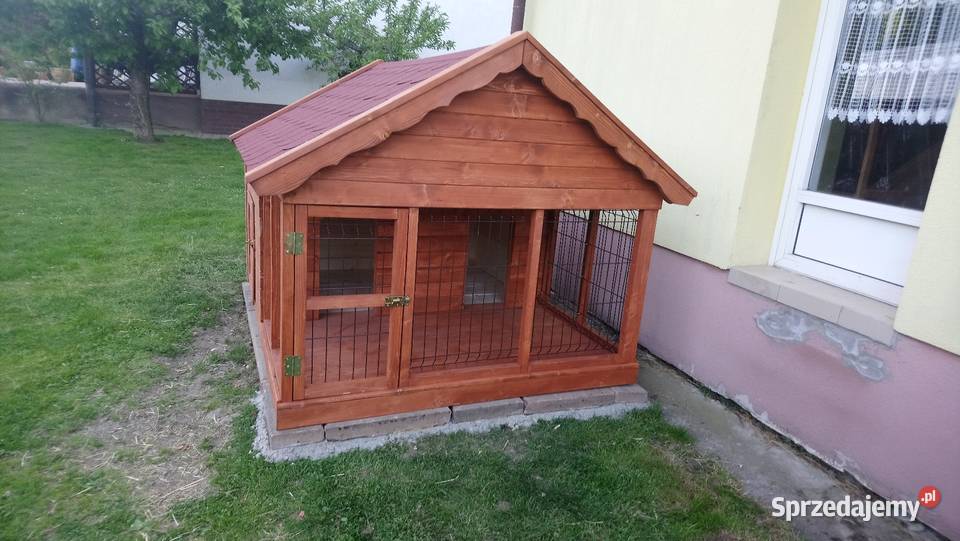 Buda Kojec Dla psów