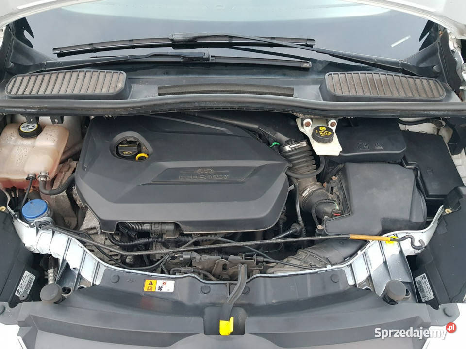 Ford C 16 Benzyna Turbo Titanium Klimatronik klimatyzacja Włocławek