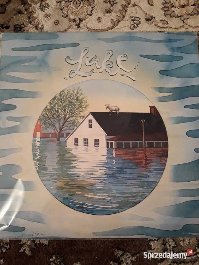 LAKE Lake CBS Inc 1978progresywny rock perełka z rock podkarpackie Rzeszów sprzedam