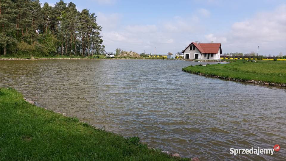 Folia PVCPCV 11mm do oczek wodnych stawów dolnośląskie sprzedam
